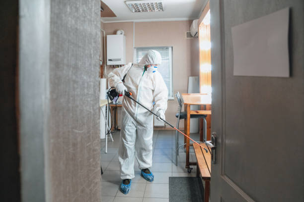 Best Attic Mold Removal  in Edina, MN