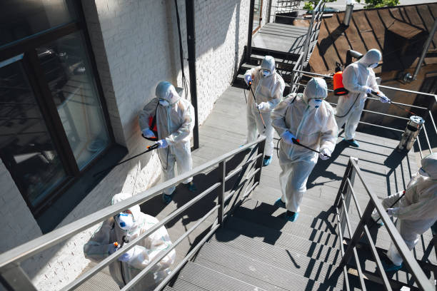 Best Air Quality Testing for Mold Spores  in Edina, MN