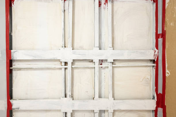 Best Mold Damage Restoration  in Edina, MN
