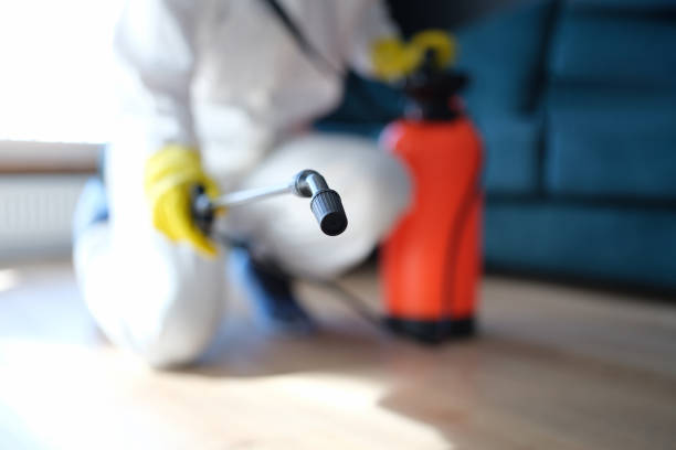Best Dehumidification Services  in Edina, MN