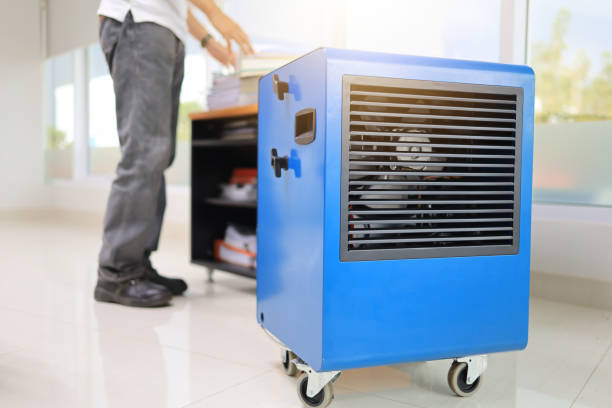 Mold Removal for HVAC Installations in Edina, MN
