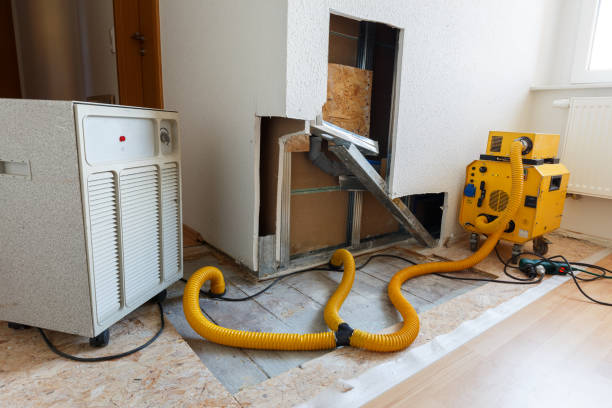Best Mold Prevention Services  in Edina, MN