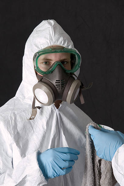 Best Real Estate Mold Inspection  in Edina, MN